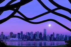 LOL赛事-击穿彩虹，德罗赞的不完美绝杀与雷霆终结魔术之夜