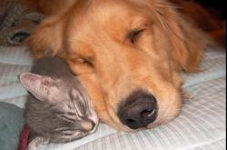 LOL决赛-跨界星光，莫兰特在英超争冠之夜意外夺目