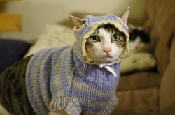 英雄联盟总决赛-爵士淘汰赛过关马刺的启示，浓眉2026世界杯接管比赛的背后故事