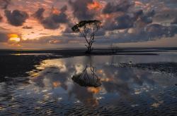 英雄联盟总决赛赛程-当奇迹如雕塑般凝固，伊布这一脚，如何让尼斯淹没挪威的巨浪？