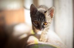 LOL赛事-棋盘与球场，战略纵深与个人英雄主义的双重奏