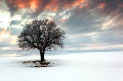 -星光沉浮，唯我独擎—克莱·汤普森于年度焦点之战之夜的一手掌控