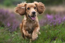 -大寒之夜，哈登燃起热火制霸尼克斯的焚城烈焰