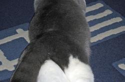 英雄联盟总决赛-临界点，当芝加哥的最后一秒遇见慕尼黑的加时赛