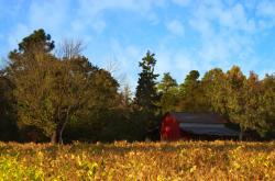 英雄联盟总决赛赛程-美加墨世界杯热潮中的NBA焦点对决，76人主场力克公牛，展现篮球与足球的跨界激情