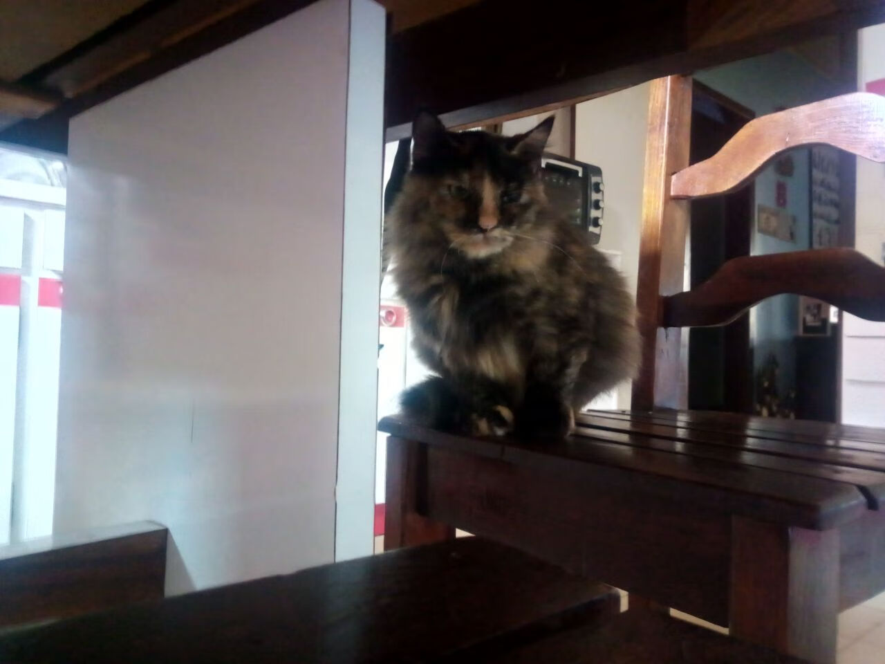 孤胆与浪潮，英格拉姆爆裂时刻背后的篮球哲学