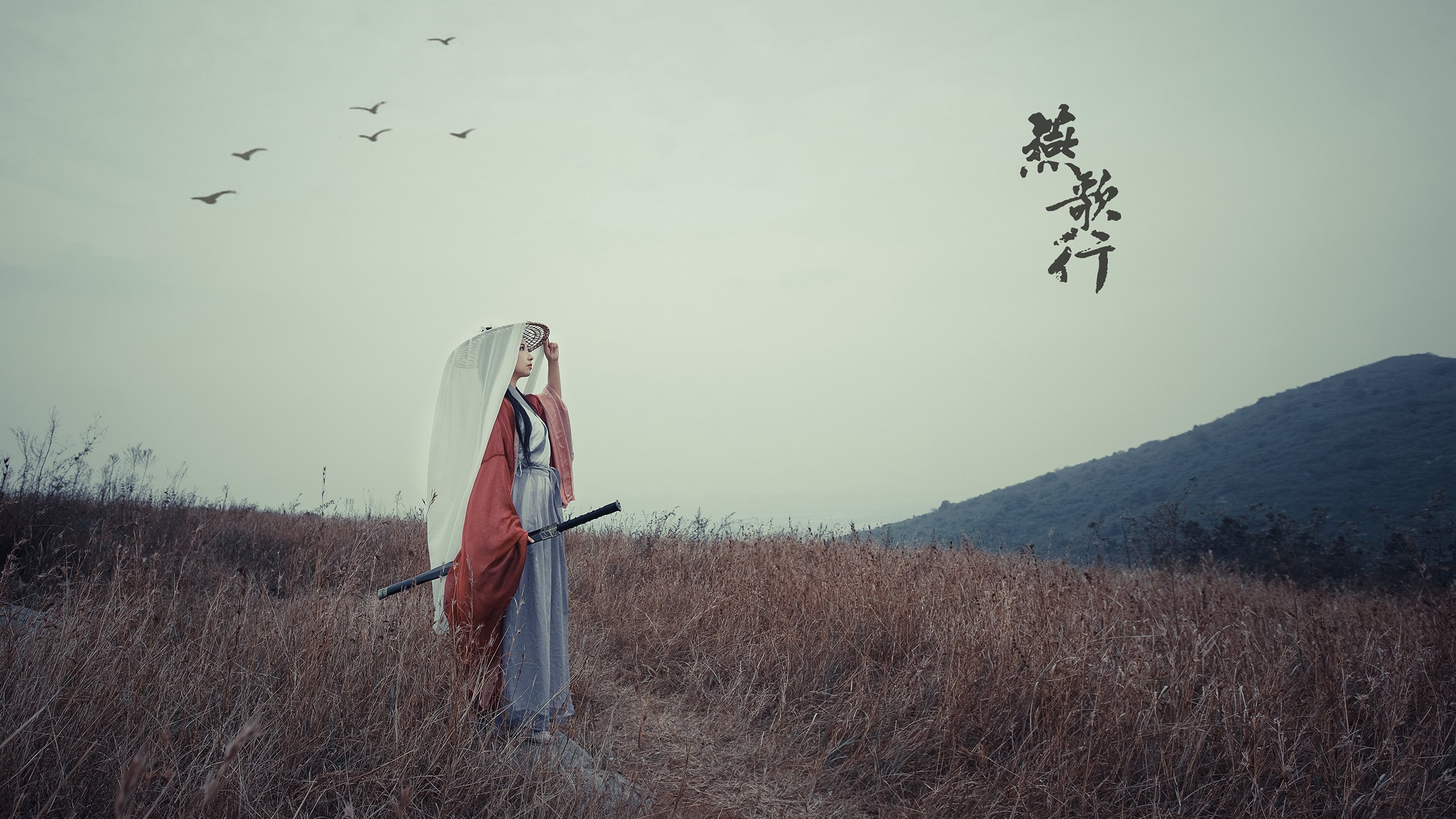 团队的暴力美学与个人的孤独王座,论灰熊的碾压与约基奇的终极接管