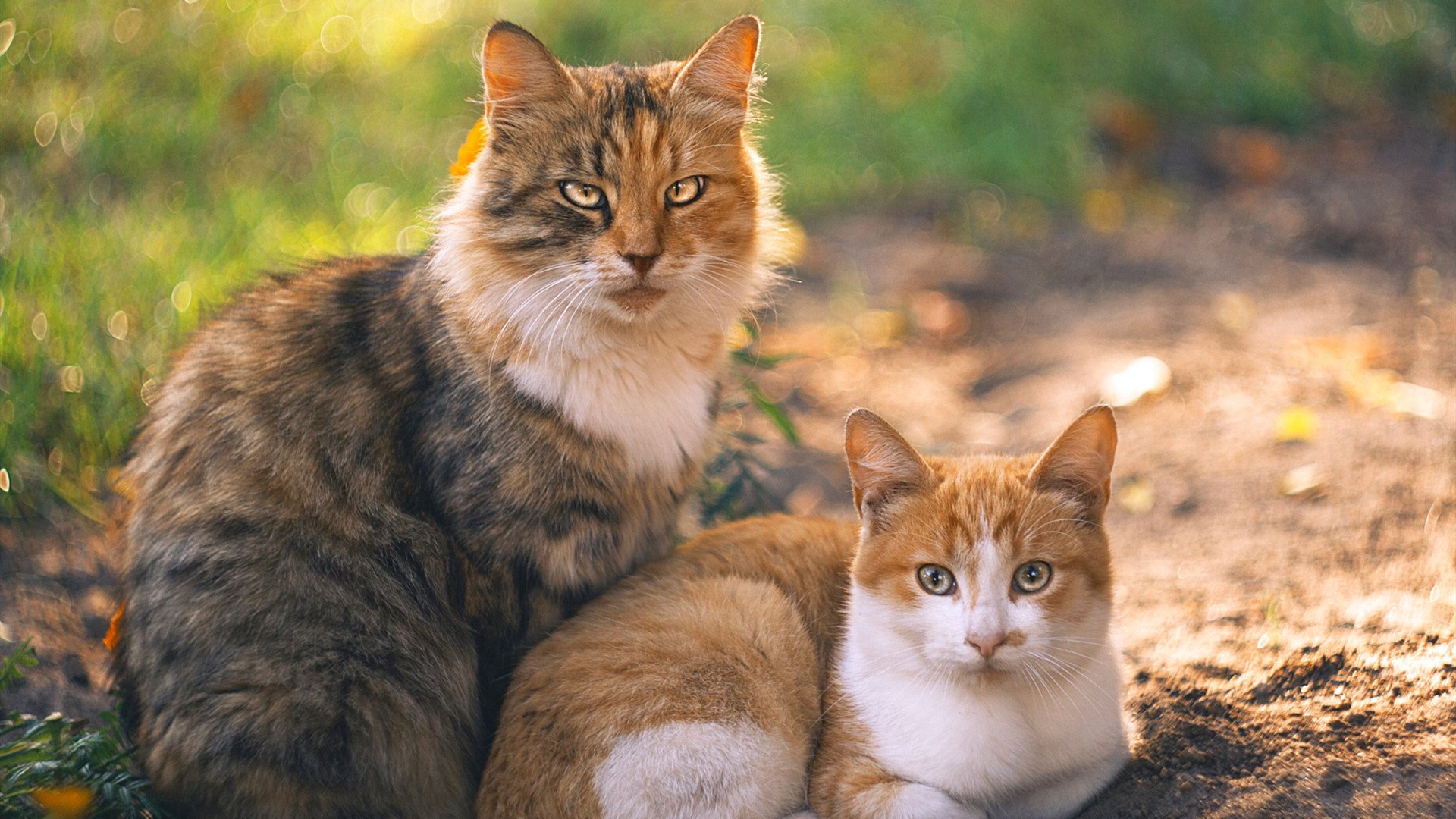 拉齐奥对阵曼城，透视德布劳内如何成为攻防转换的唯一战术密钥