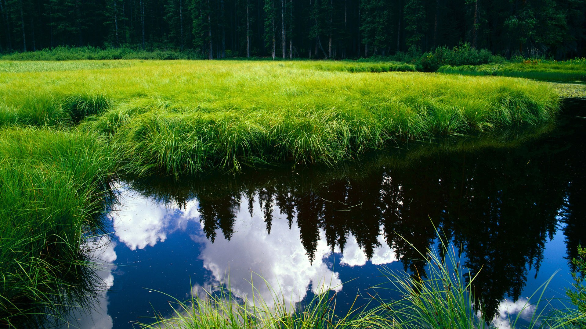 铁骑踏碎高卢雄鸡，哈利·凯恩一剑封喉