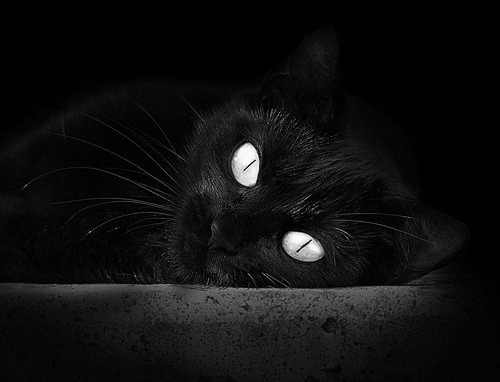 北欧海盗的团队华尔兹与孤胆英雄的狙击步枪，瑞典强压尤文，托尼打出生涯之夜