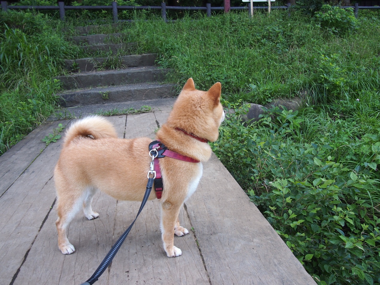 萨拉赫弯刀破蓝月，德布劳内用助攻完成救赎