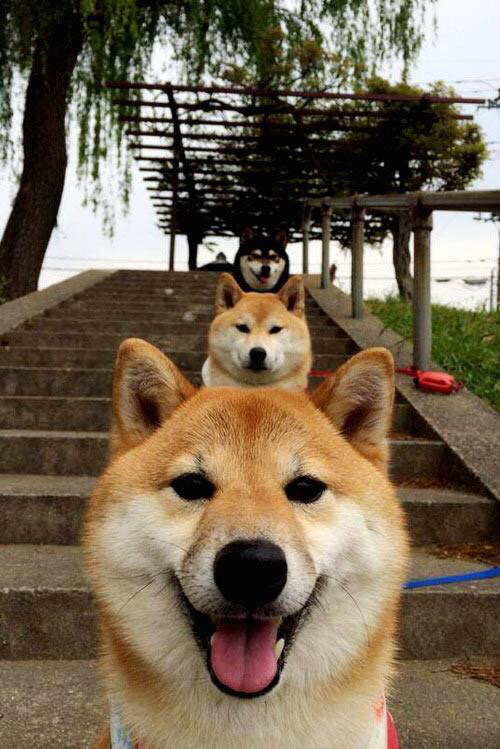 唯一性的双重闪耀，从灰熊逆袭掘金到塔图姆F1争冠的统治时刻