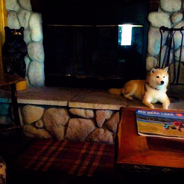 撕裂之城见证的涅槃,拉文用44分镌刻巨星证明战