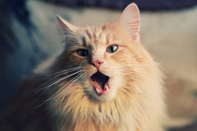 疾风撕裂乌云，乔治抢七之战接管宿命