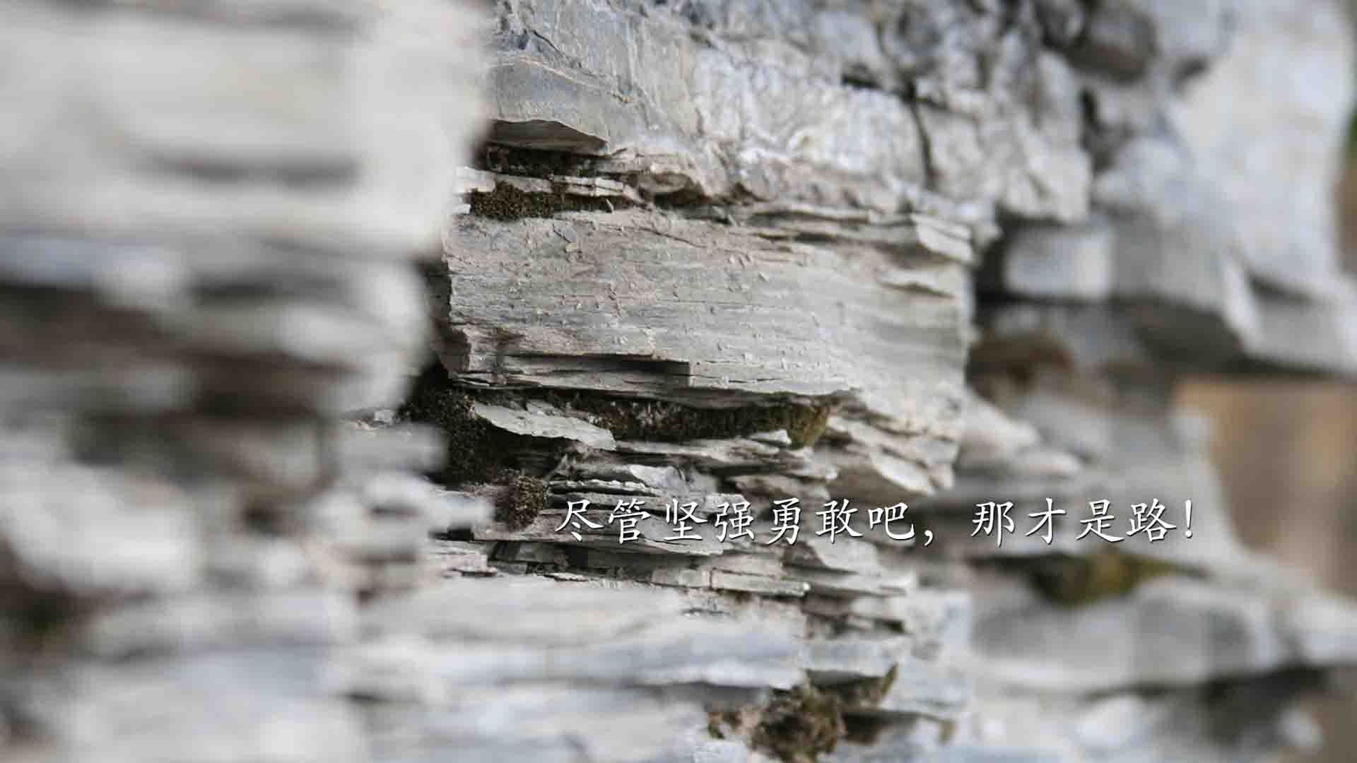 当首都之矛遇见华南虎,马克西式巨星在跨联赛舞台的无限可能