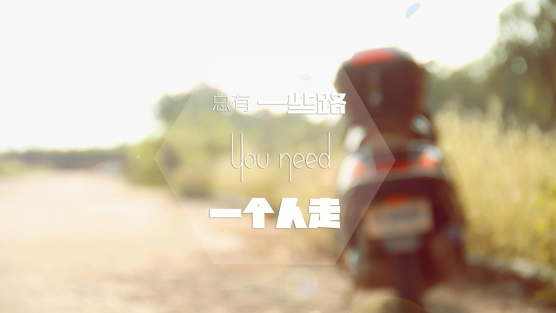 高原雄鹰对话沙漠之狐，当玻利维亚遇上突尼斯，伊布式的硬仗哲学如何上演？