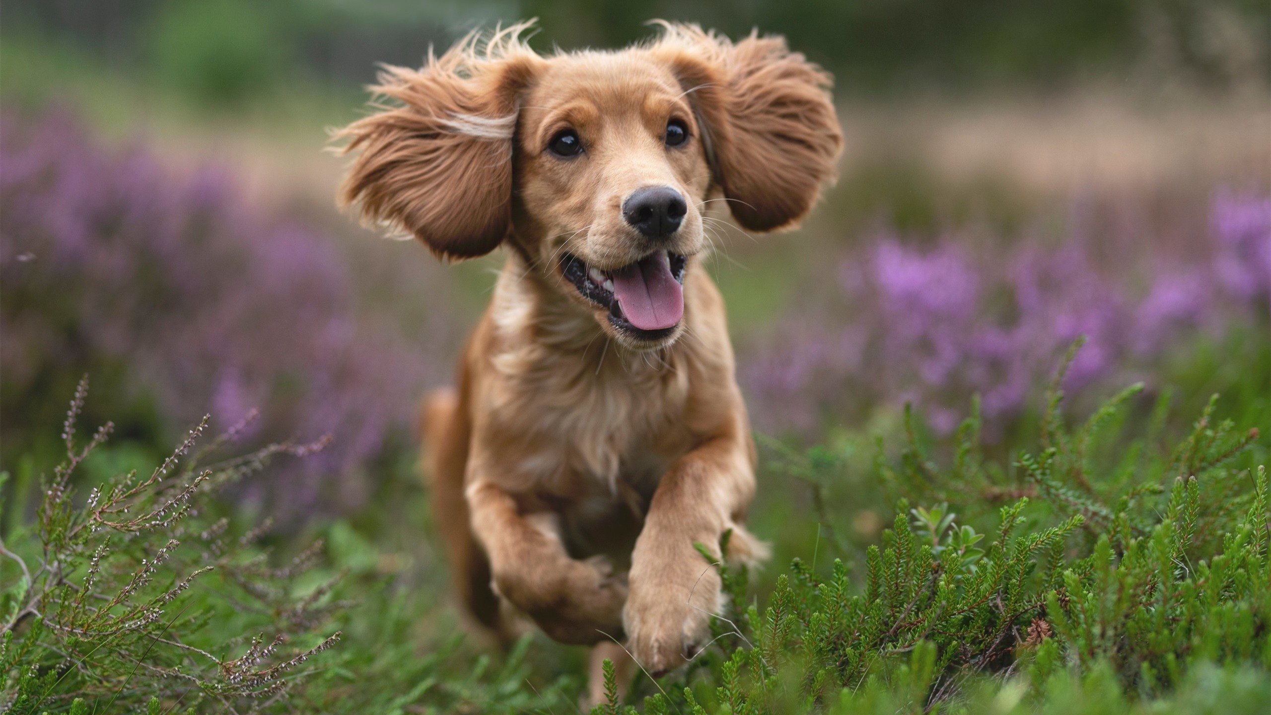 蜡翅成钢，抢七之夜，贝恩如何以个人能力重写命运