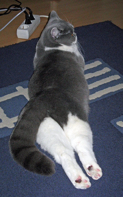 临界点，当芝加哥的最后一秒遇见慕尼黑的加时赛