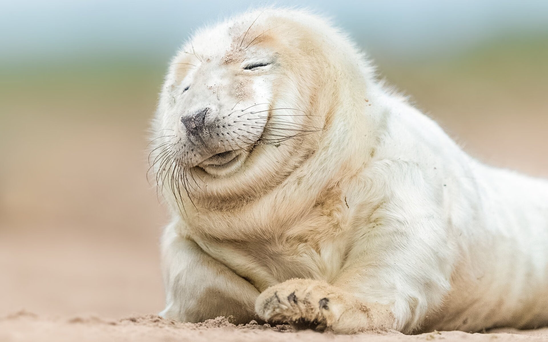 蓝领巨塔的黄金五分钟，当戈贝尔的双手，在欧冠之夜奏响冰与火之歌