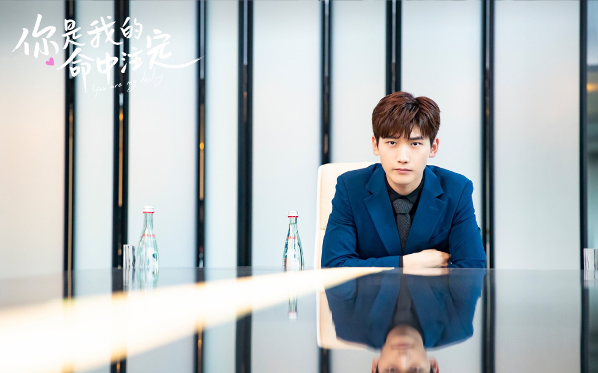 双城记,尼克斯的午夜绝杀与切特的电子羊梦境