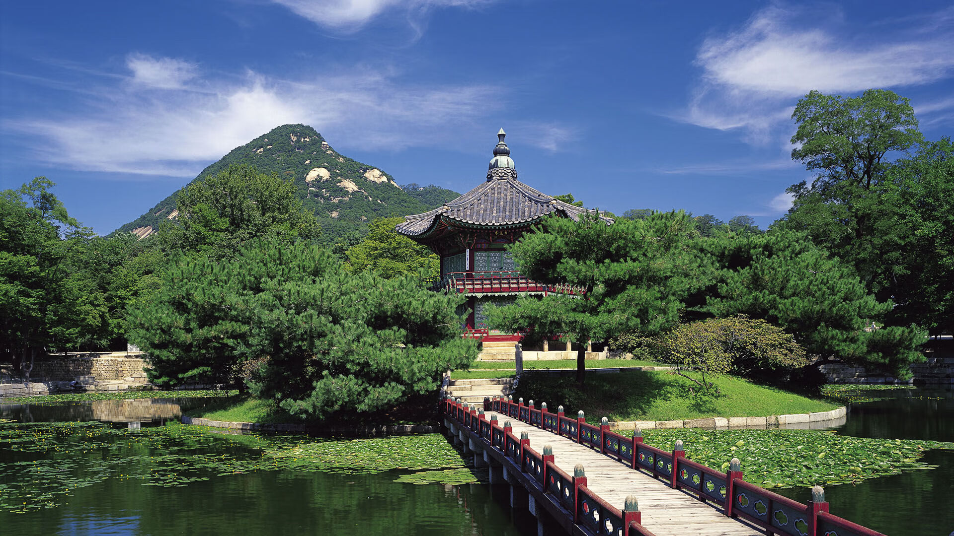 钢铁长城困桑巴，2026世界杯B组，丹麦用范戴克的铁血法则改写足球美学