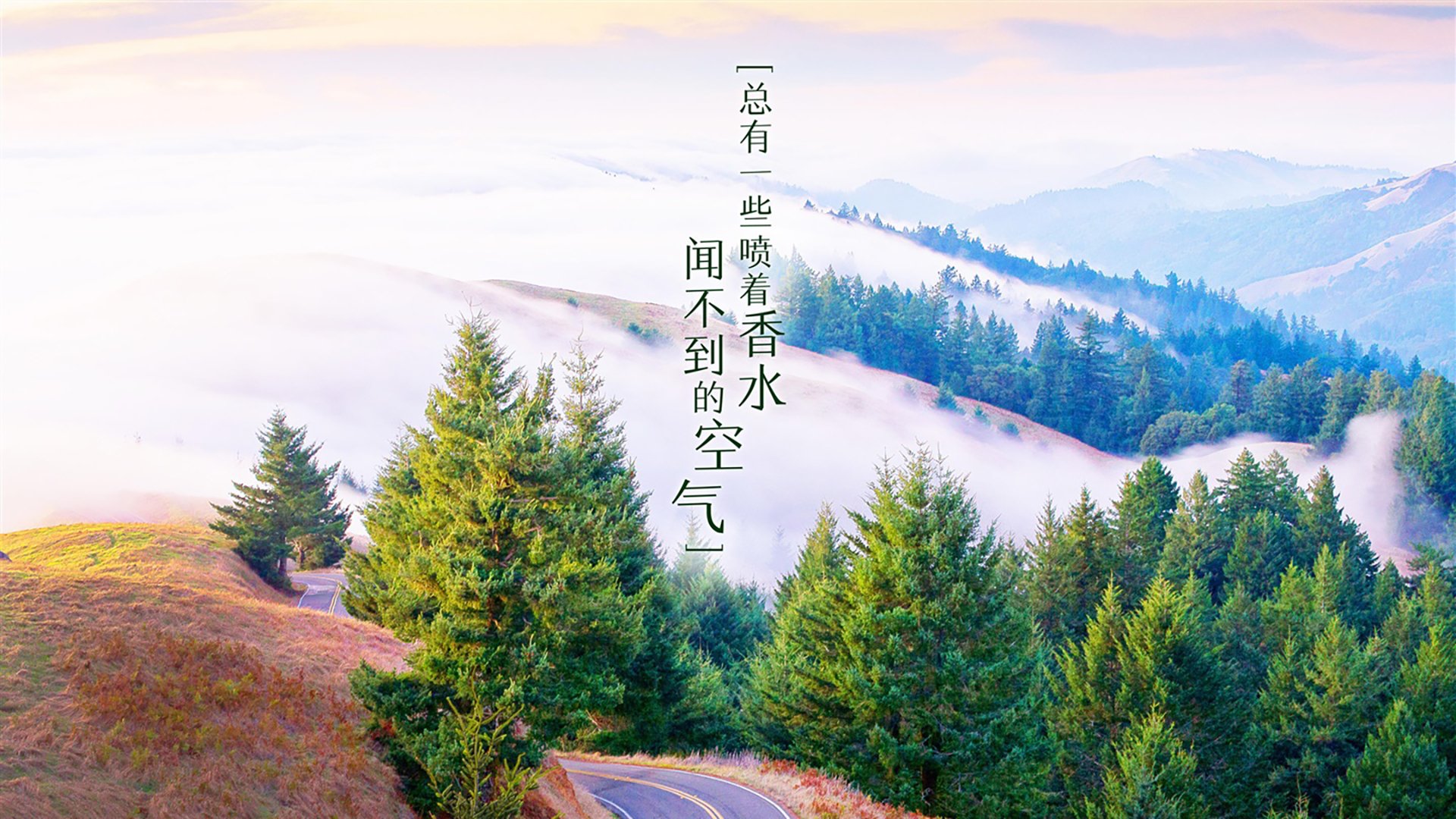 逆转之夜,巴雷拉闪耀2026世界杯A组,澳大利亚绝地反击智利