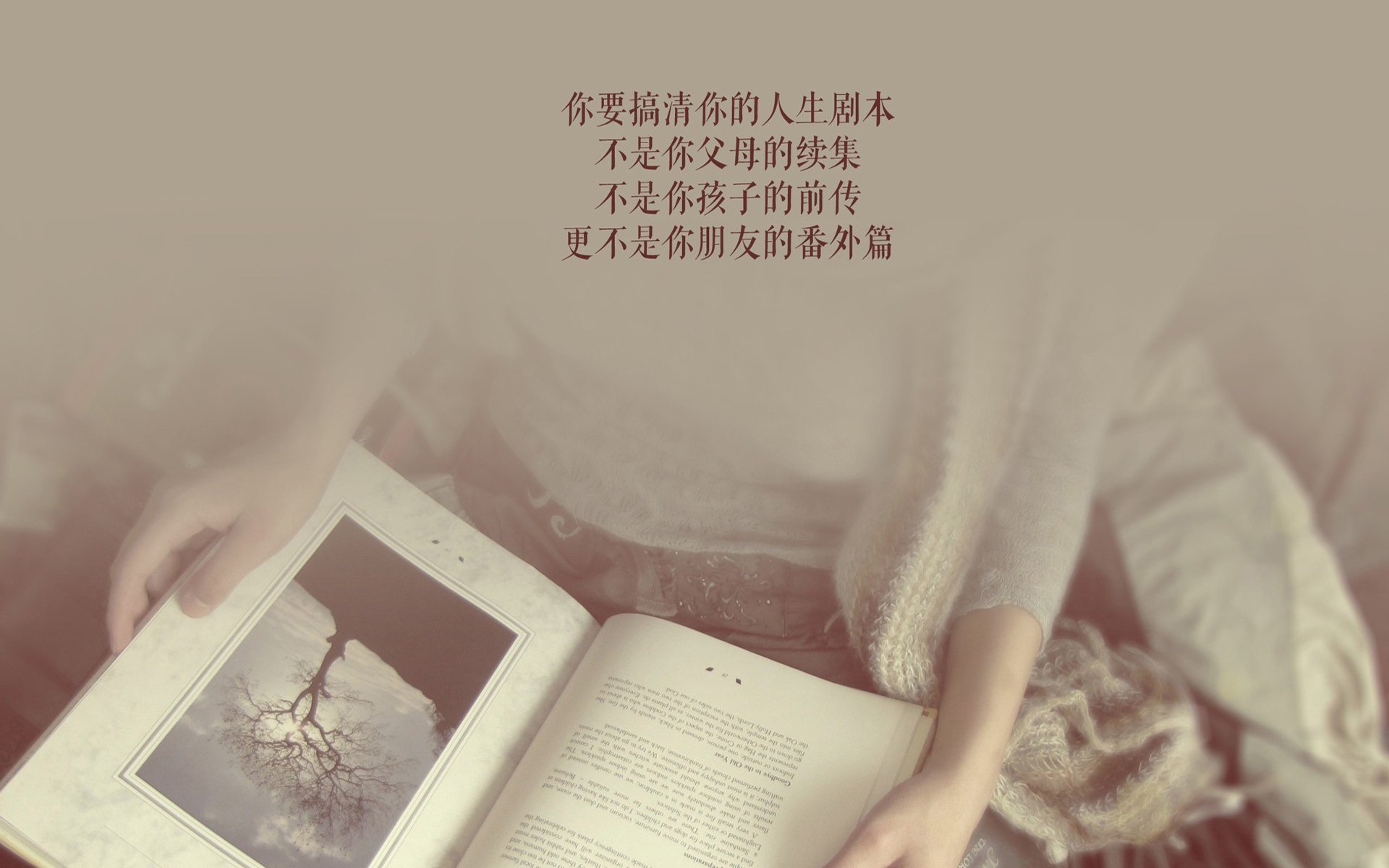 这是一篇为你定制的、关于2026年世界杯B组唯一性关键战的文章。文章构建了一个虚构但逻辑自洽的足球世界，突出了冷门、救赎与代际传承的不可复制性