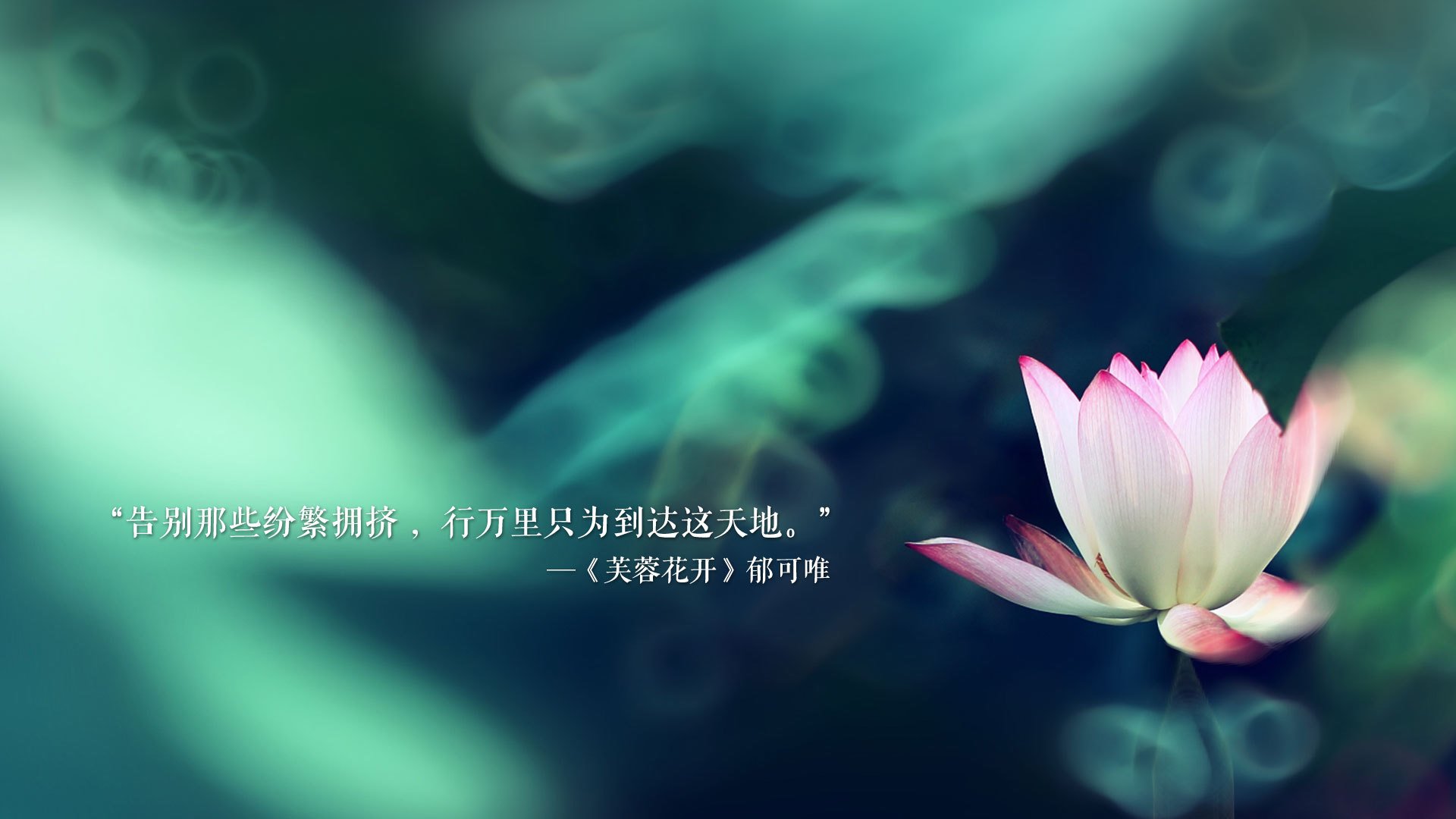 2026世界杯D组生死战，挪威破冰擒斯洛伐克，格列兹曼铁血防线定乾坤